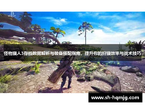 怪物猎人3存档数据解析与装备搭配指南，提升你的狩猎效率与战术技巧